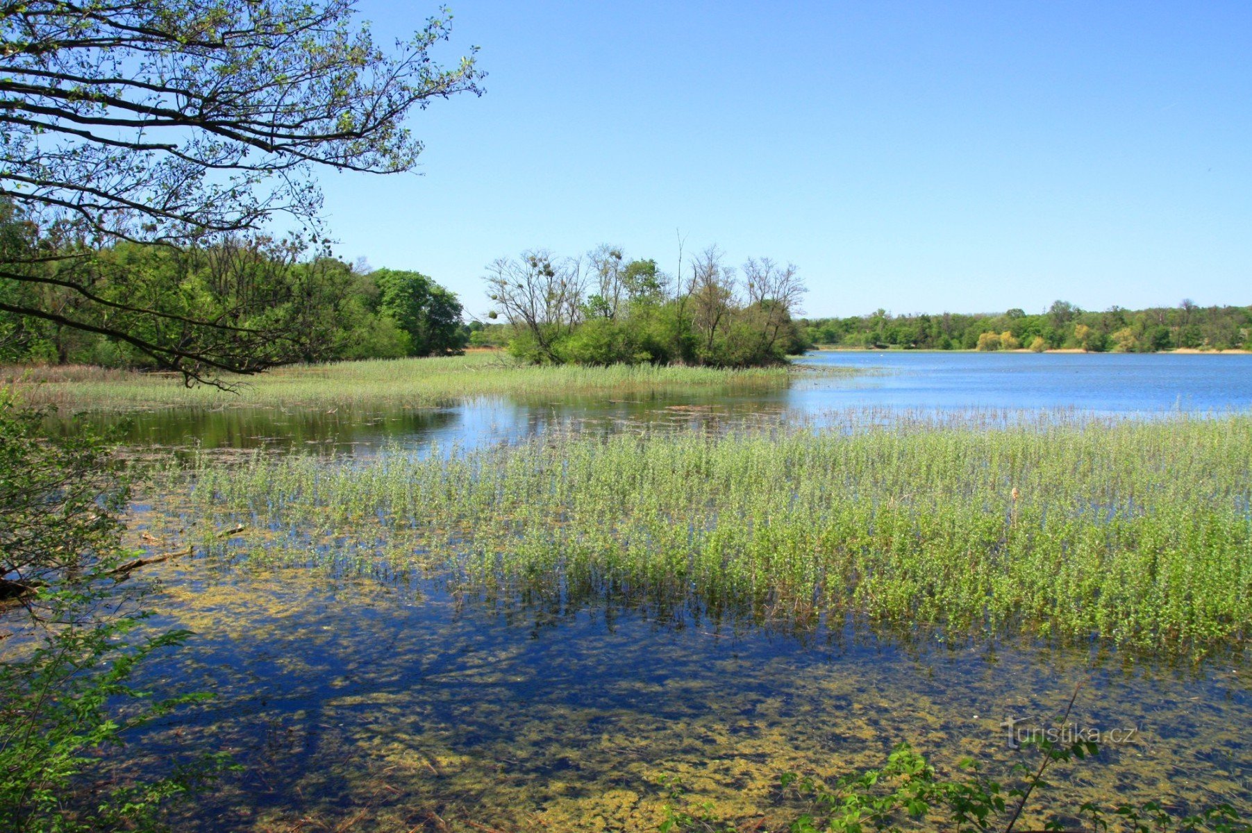 Inseln auf dem Mittleren Teich