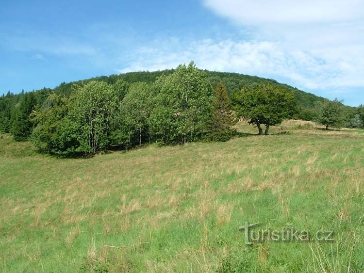 Острый - салаш