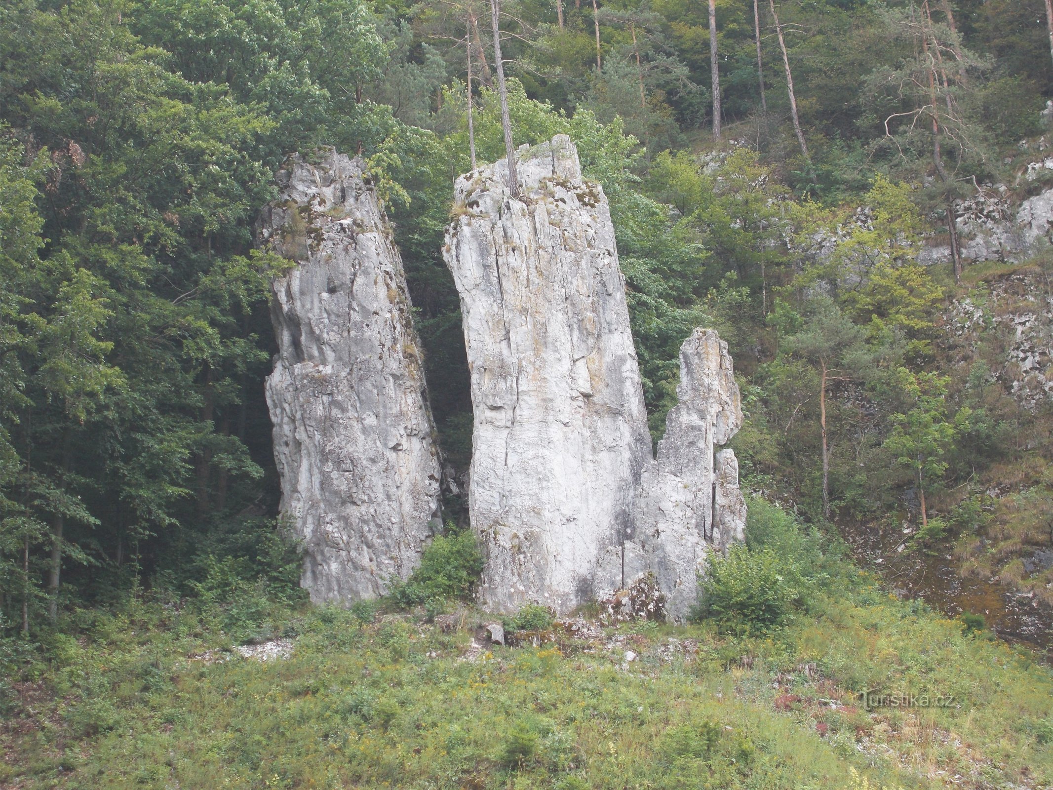 Vater, Mutter und Sohn