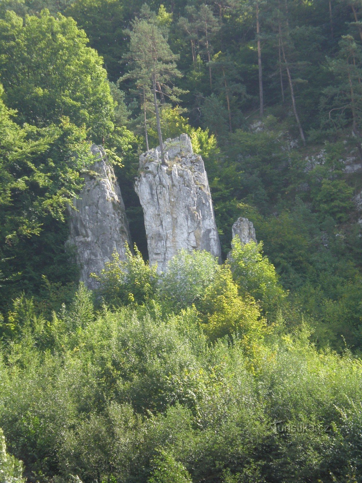 Батько, мати і син