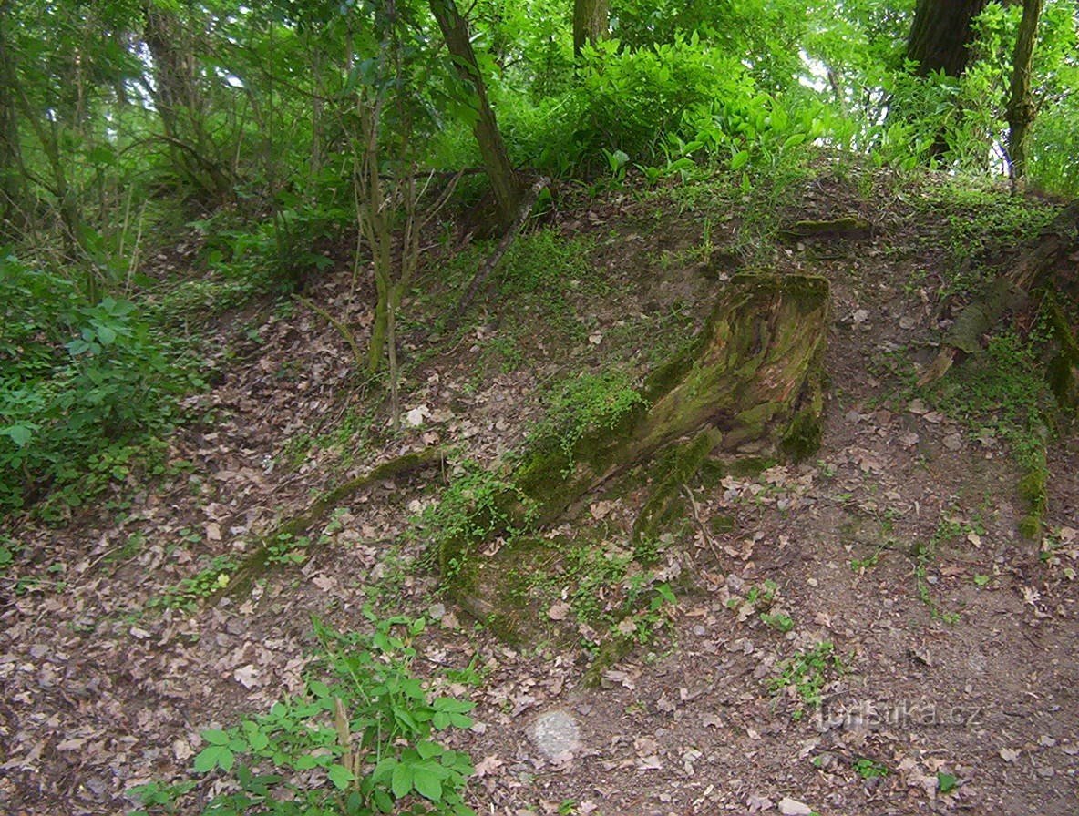 Otěhřiby-northern wall-Photo: Ulrych Mir.