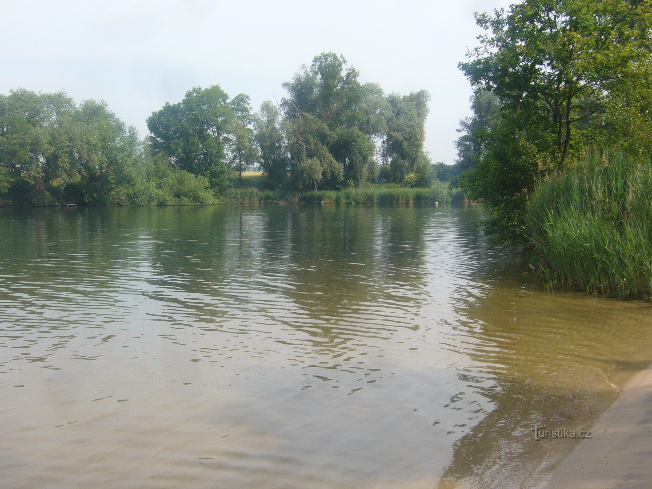 Ovčary - sjön Křenecké