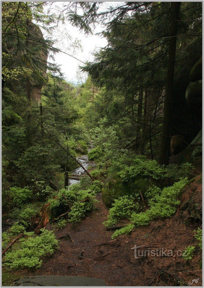 Schafschlucht, los geht's