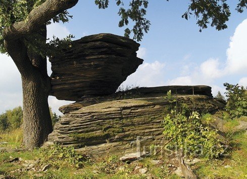 Schaffelsen