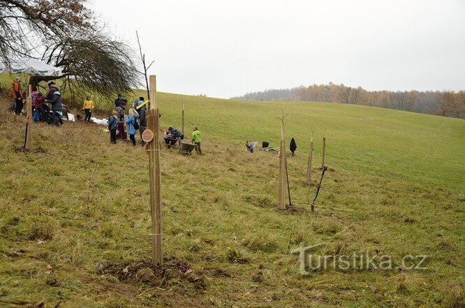 Verger Pod Dubinami - Velké Popovice