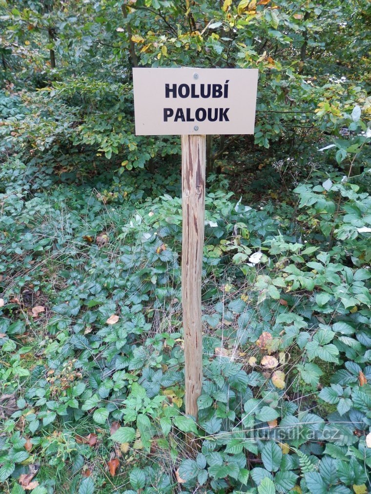 Markierung des Paloku