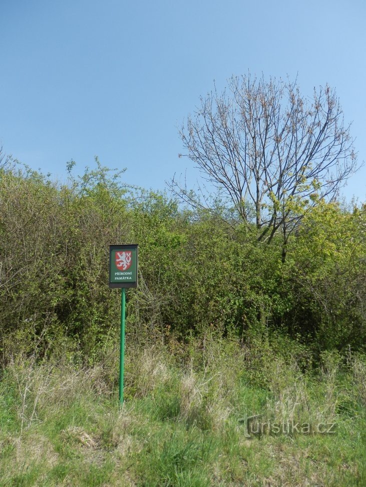 Désignation d'un monument naturel