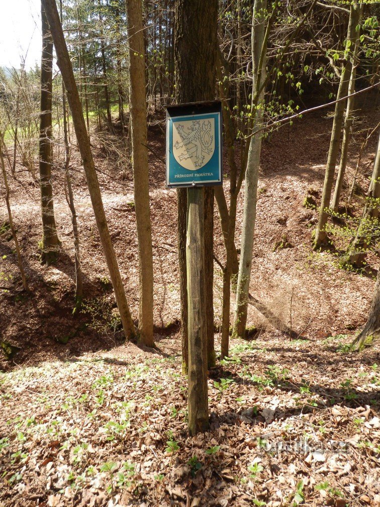 Desemnarea unui monument al naturii