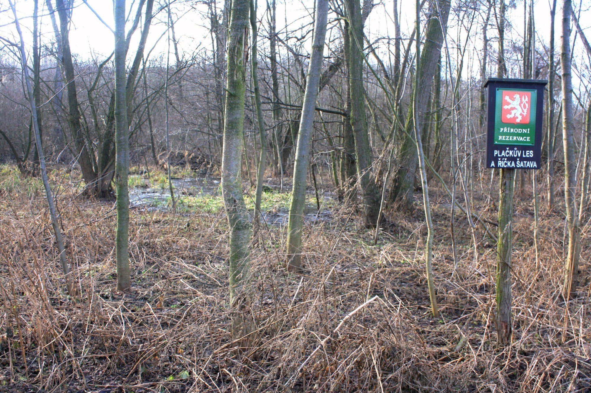 Pačkův-skov og Šatava-floden - naturreservat