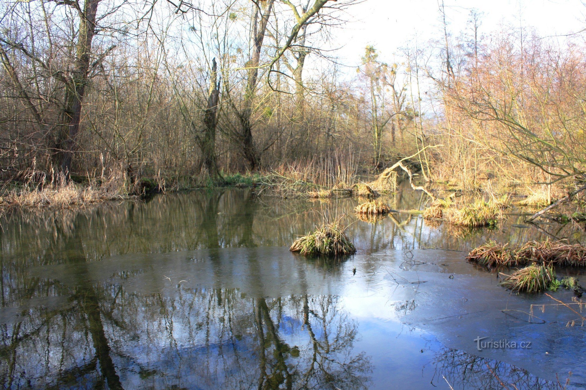 Pačkův-bos en Šatava-rivier - natuurreservaat