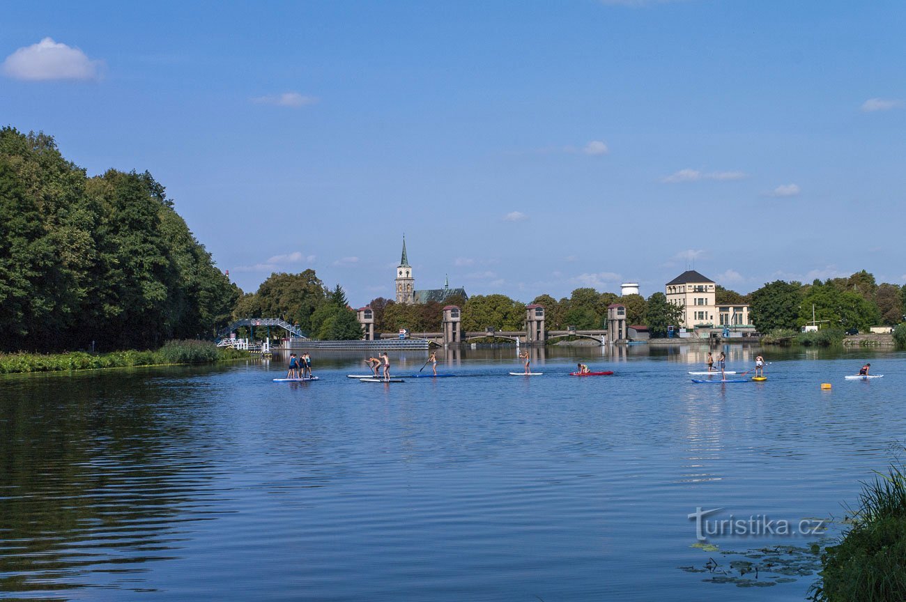 Paddleboardy