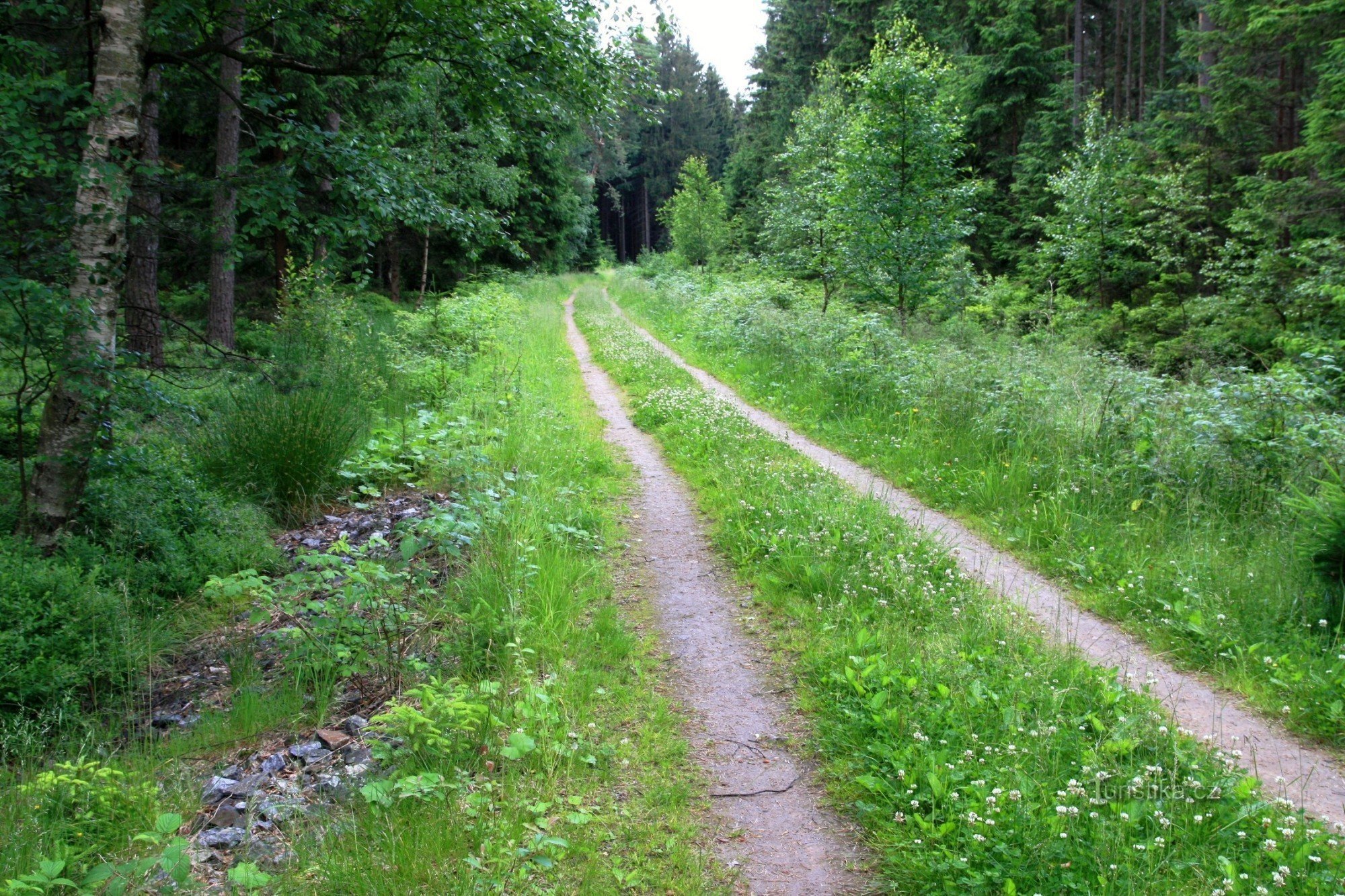 Padrtiny - kroppen av den tidigare skogsjärnvägen