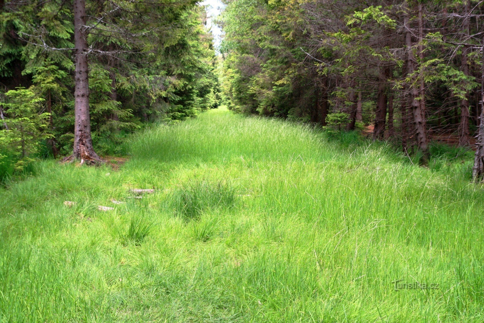 Padrtiny - body of the former forest railway