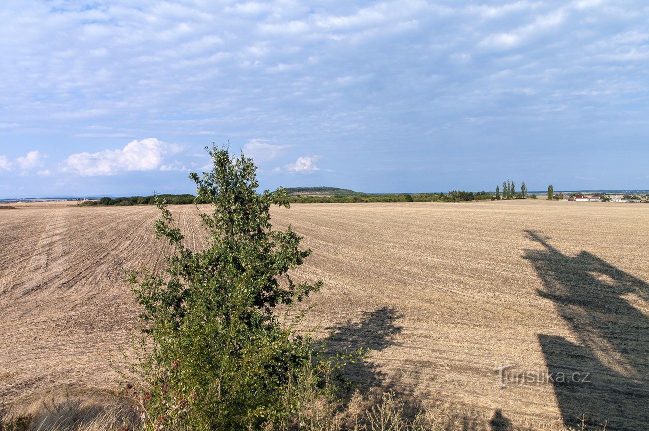 Collines au nord