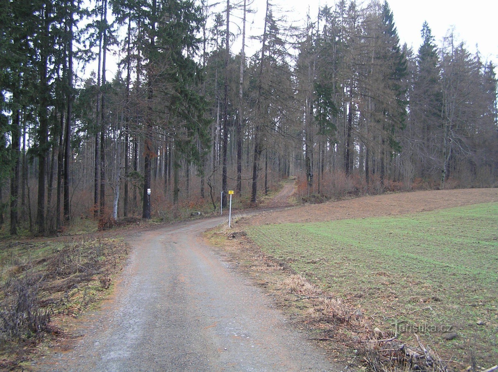 Brændende bjerg