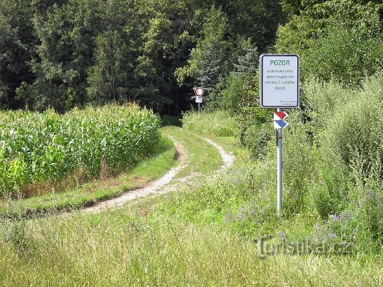 Palesek - pond