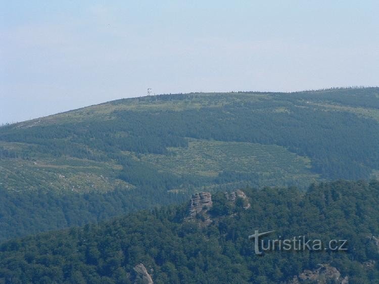 Paličník: S Smědavská hora. Smreka zadaj.