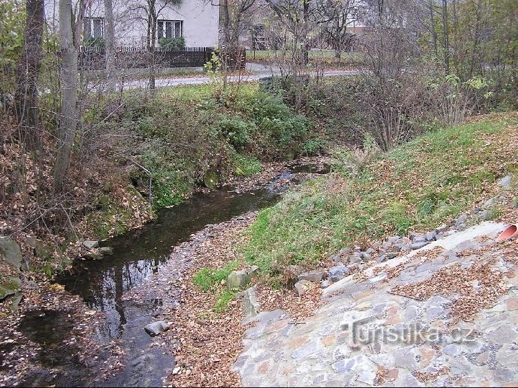 Палковицький потік: Палковицький потік