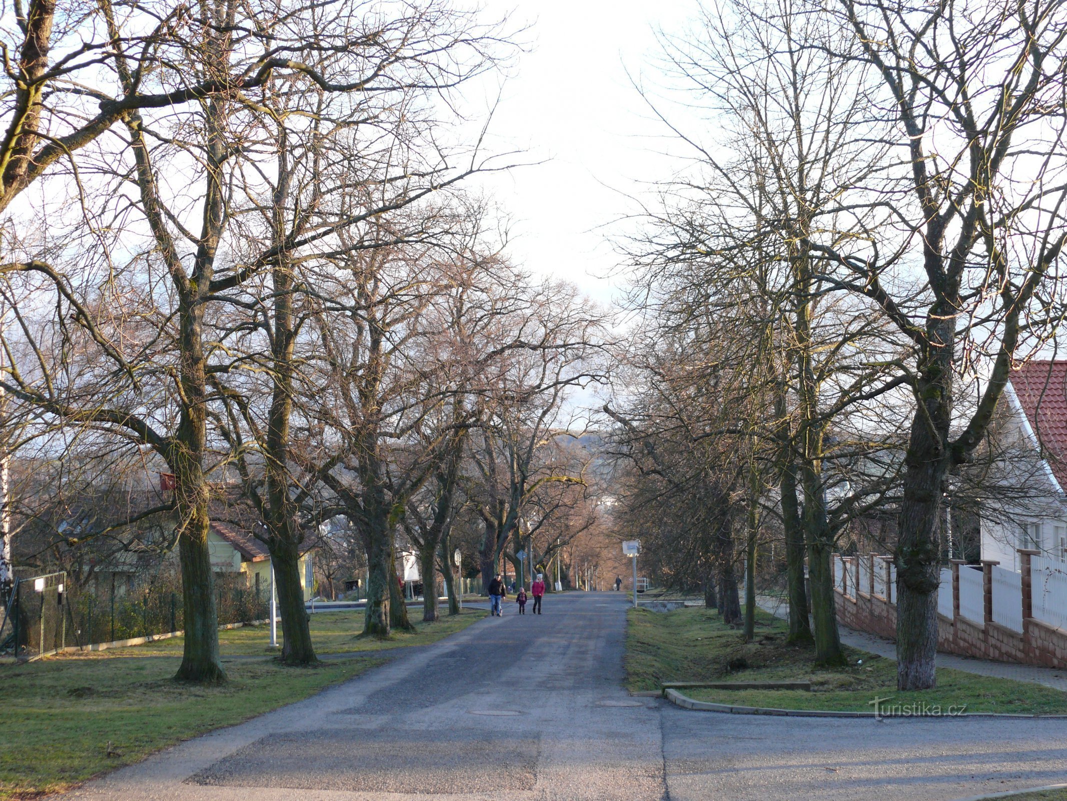 Memorial alley in Mníšek