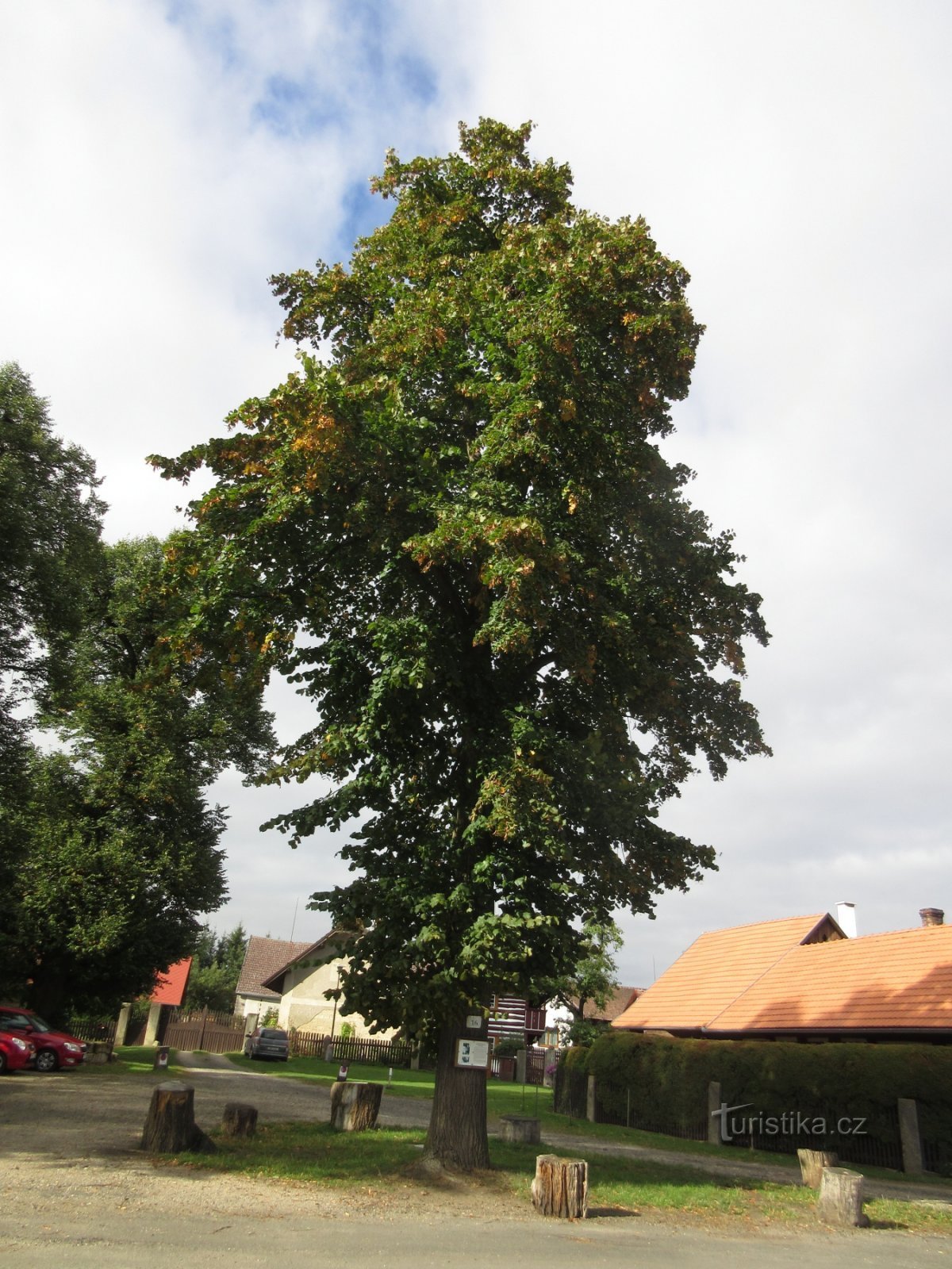 Minnesmärke Linden Ant. Snabbspola