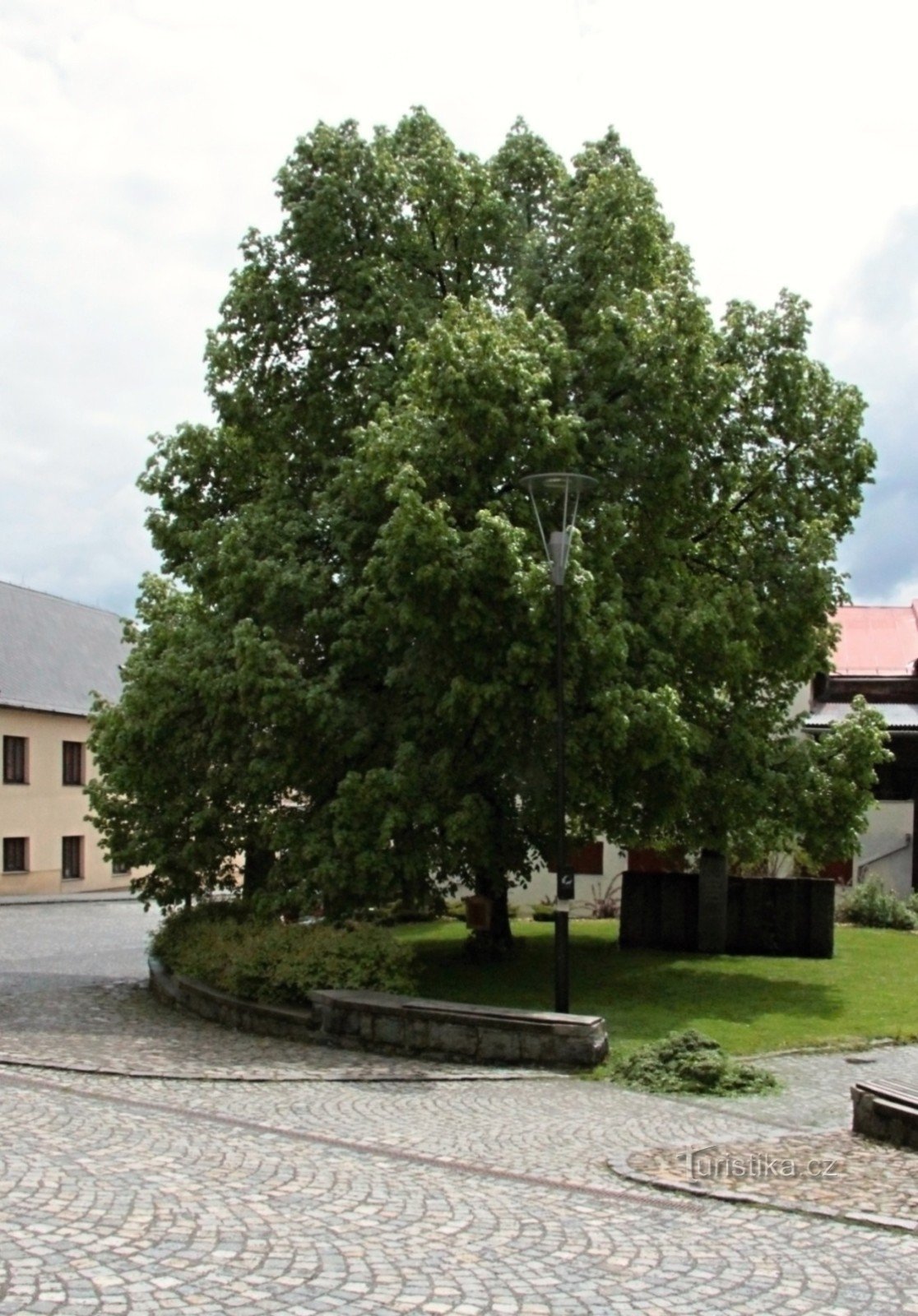 Herdenkingslindeboom in Kašperkách