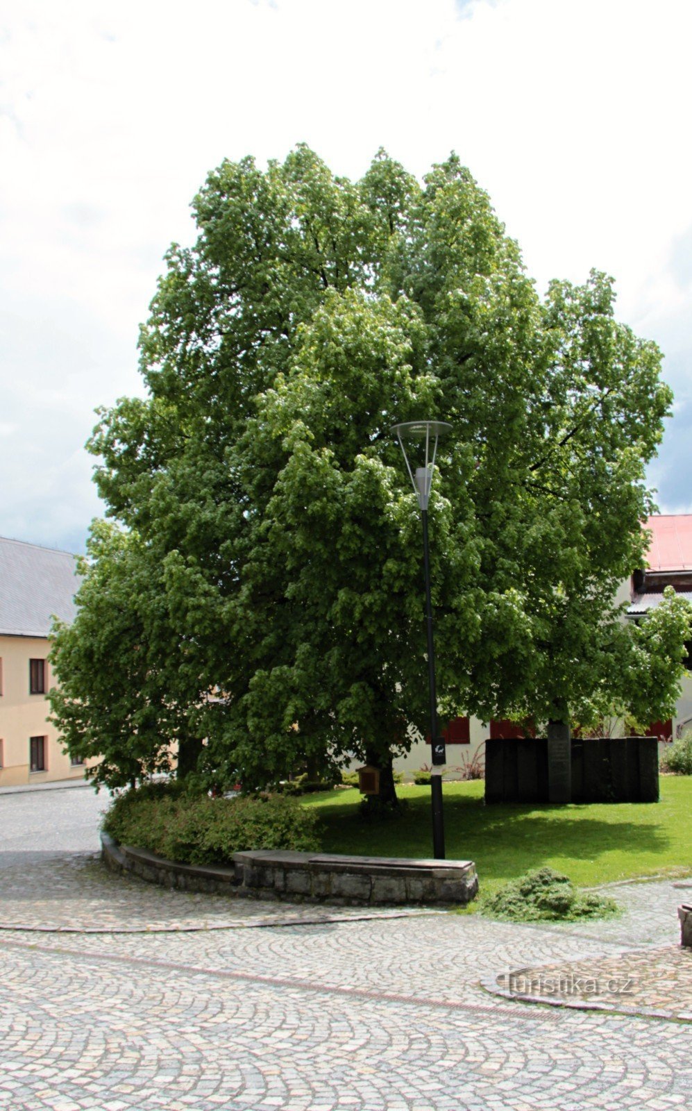 A tília memorial de Kašperské Hory