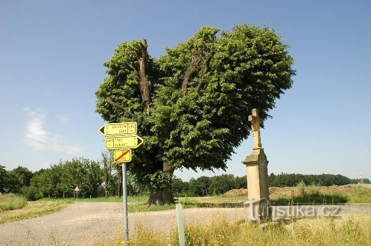 Memorial lime tree in Chotěborky