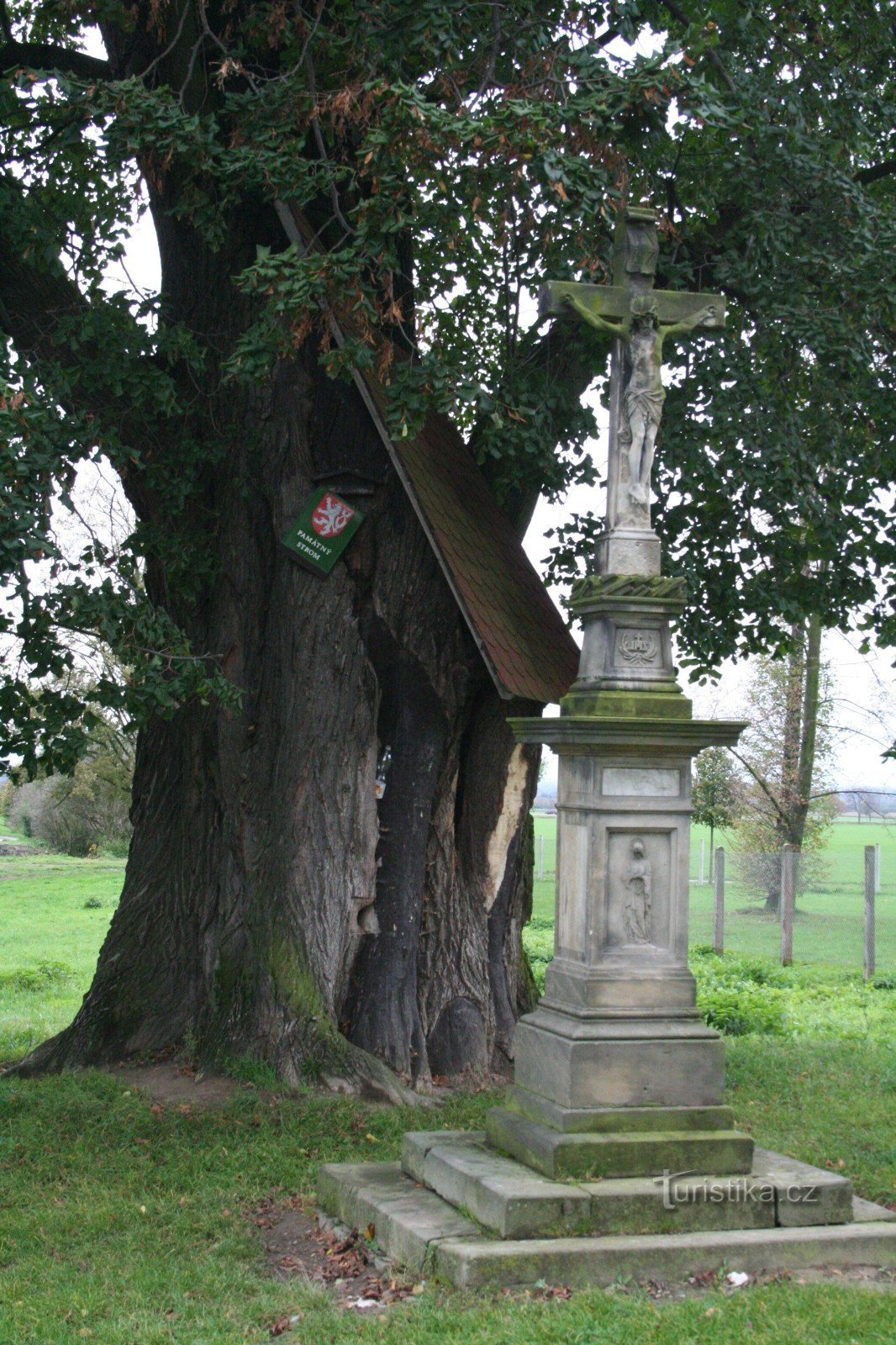 Αναμνηστικό δέντρο ασβέστη στο Dolany