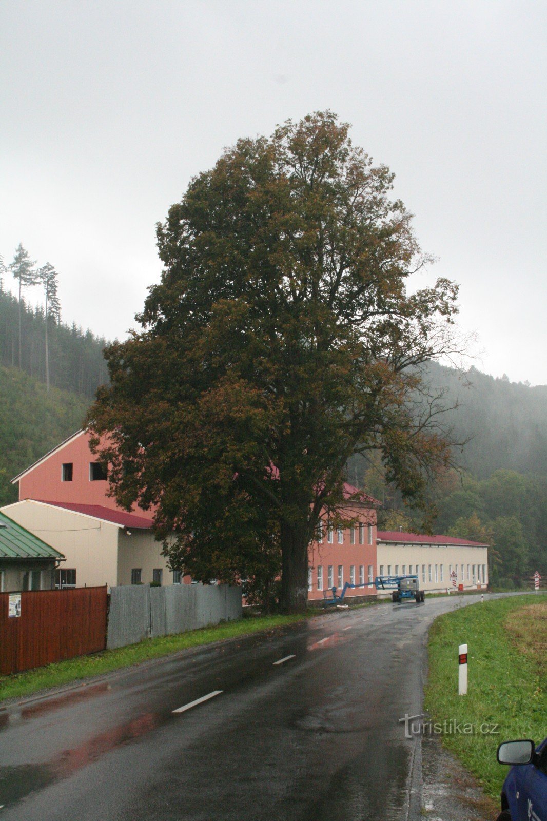 Memorial lime puu Potůčníkissa