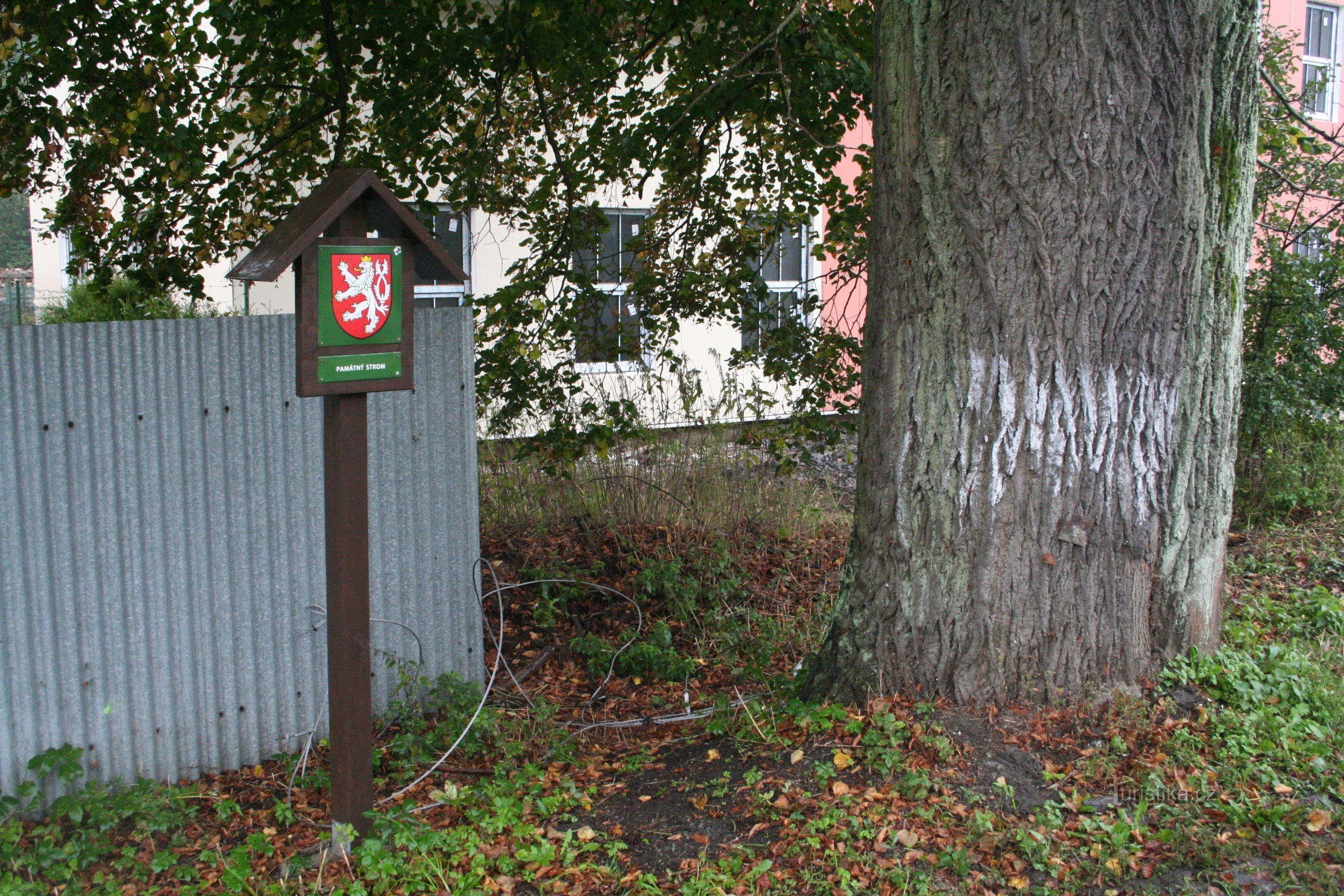 Tiglio commemorativo a Potůčník