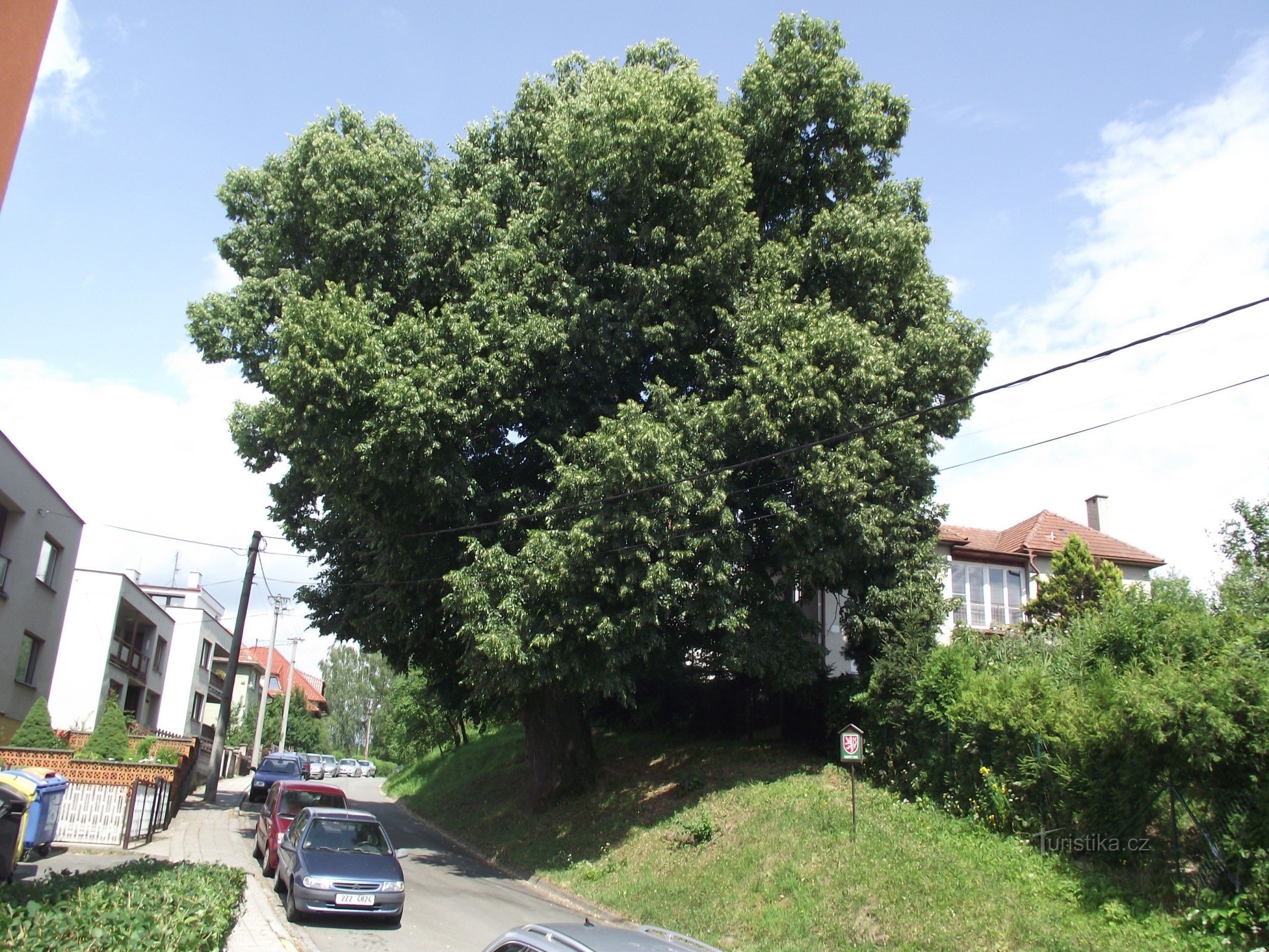 herdenkingslindeboom in Růžová ul.