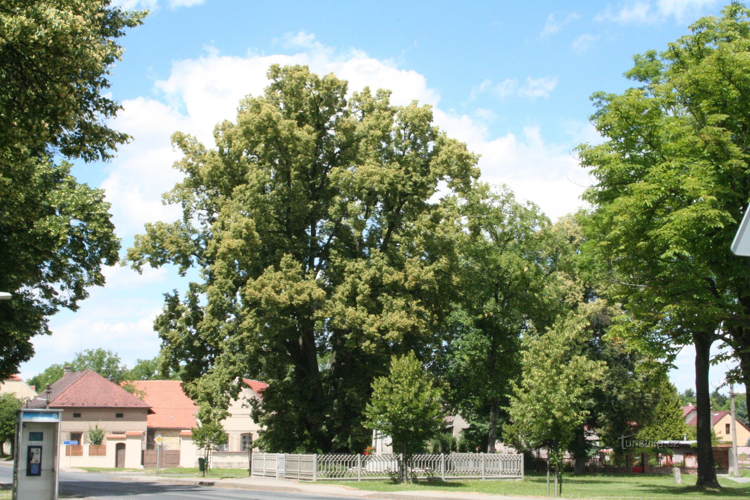 Tei memorial în Úhonice