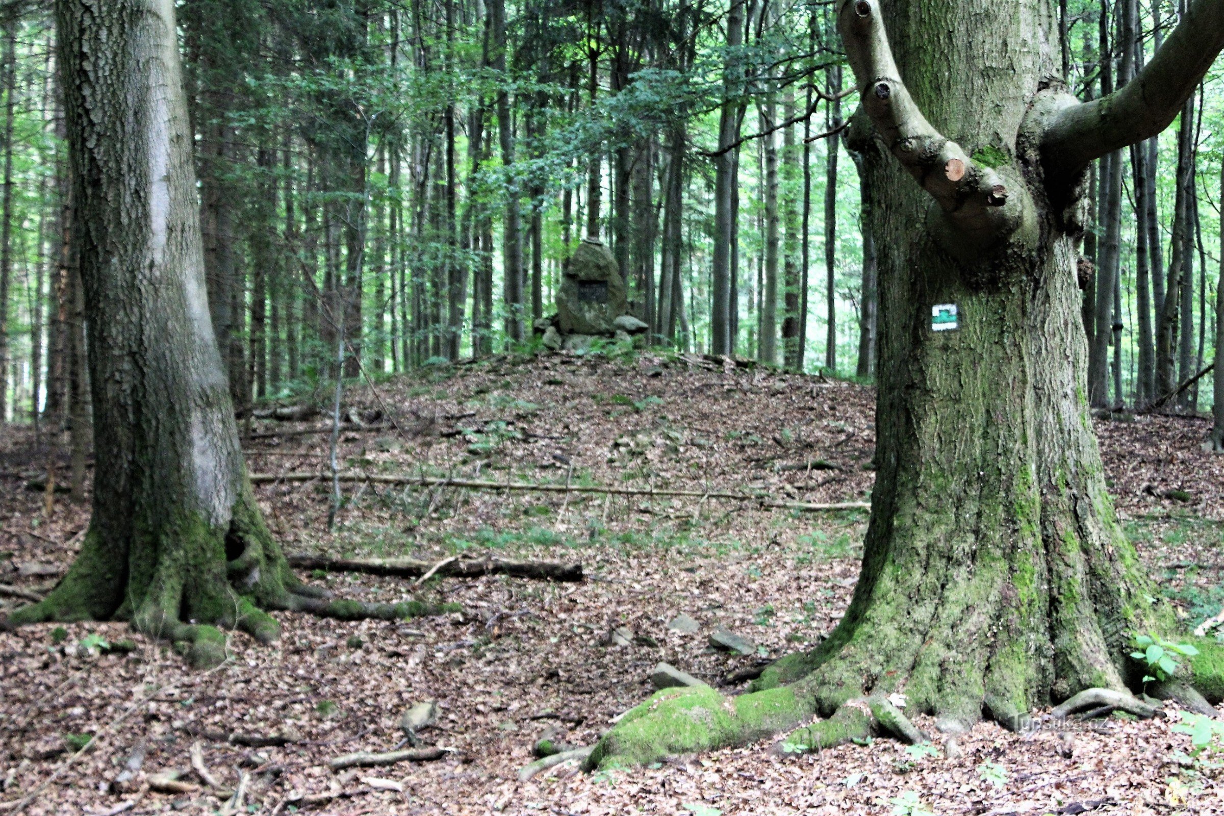 Monument to Ernst Kreutzer