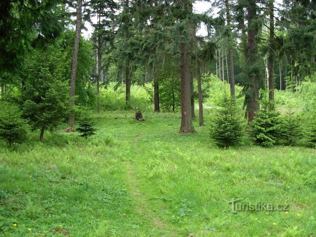 Monumentul lui J. Decreta plantat printre copaci