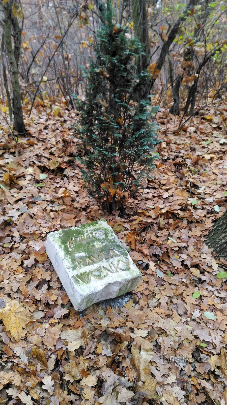 Monument till Pavel Wonka i Chomutov