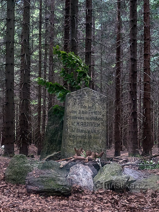 Památník posledního zastřeleného vlka na Vysočině