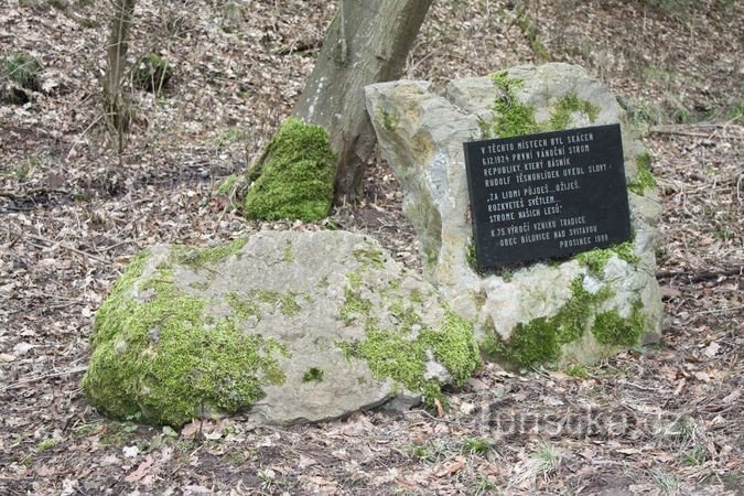 Monument til republikkens første juletræ