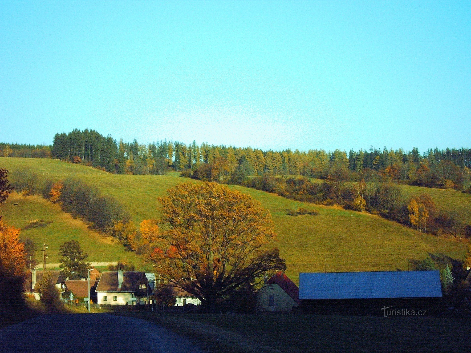 Památný Dub Letní - Čaková