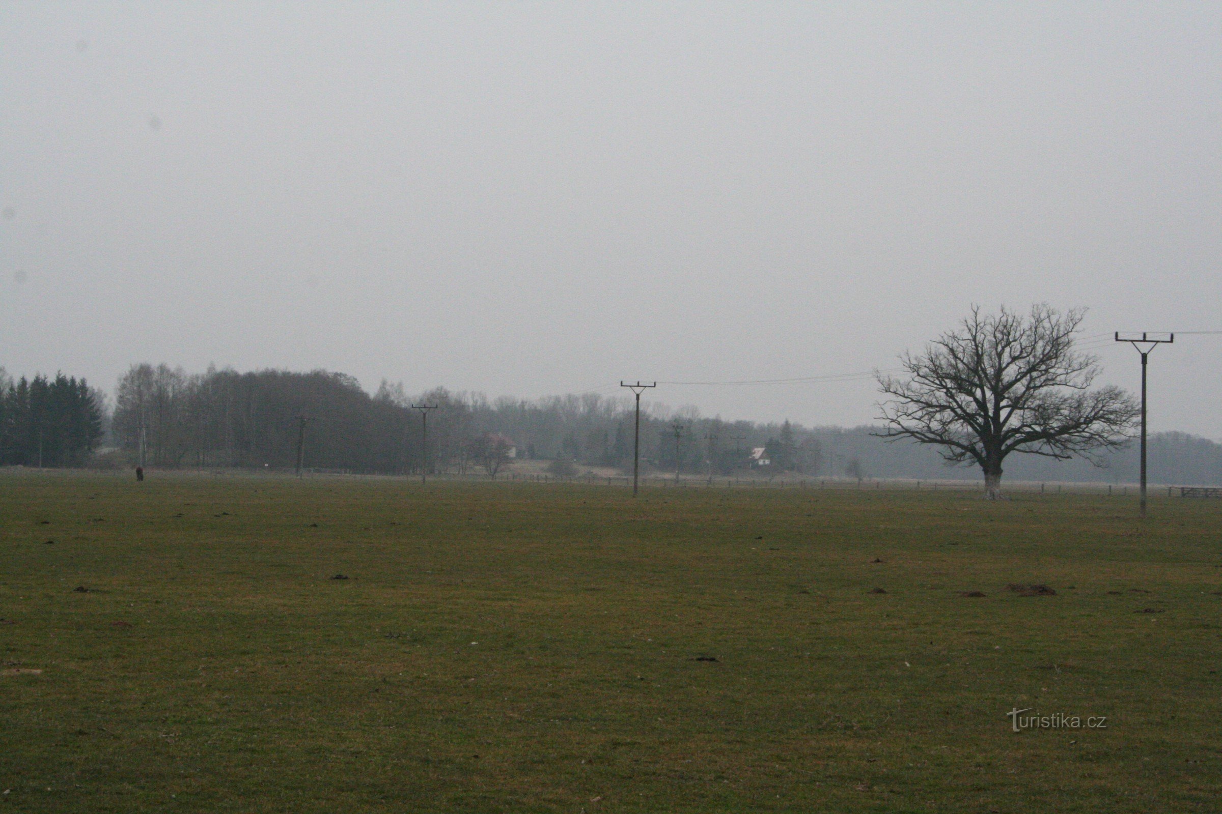 Memorial Summer Oak in der Nähe von Orlice