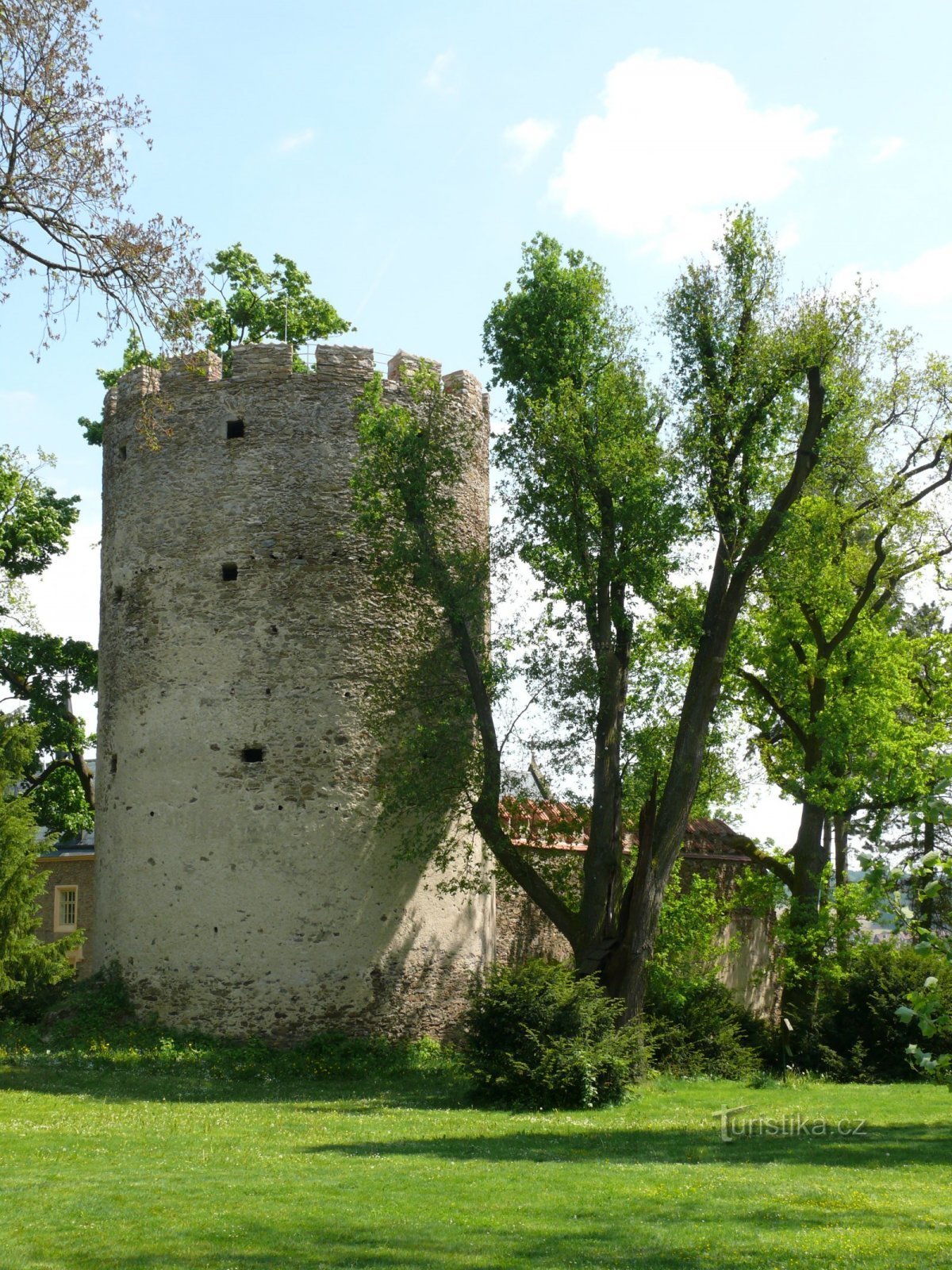 The memorial Kolovrat oak