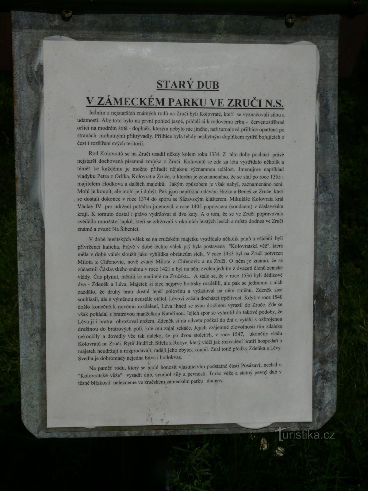 La quercia commemorativa di Kolovrat