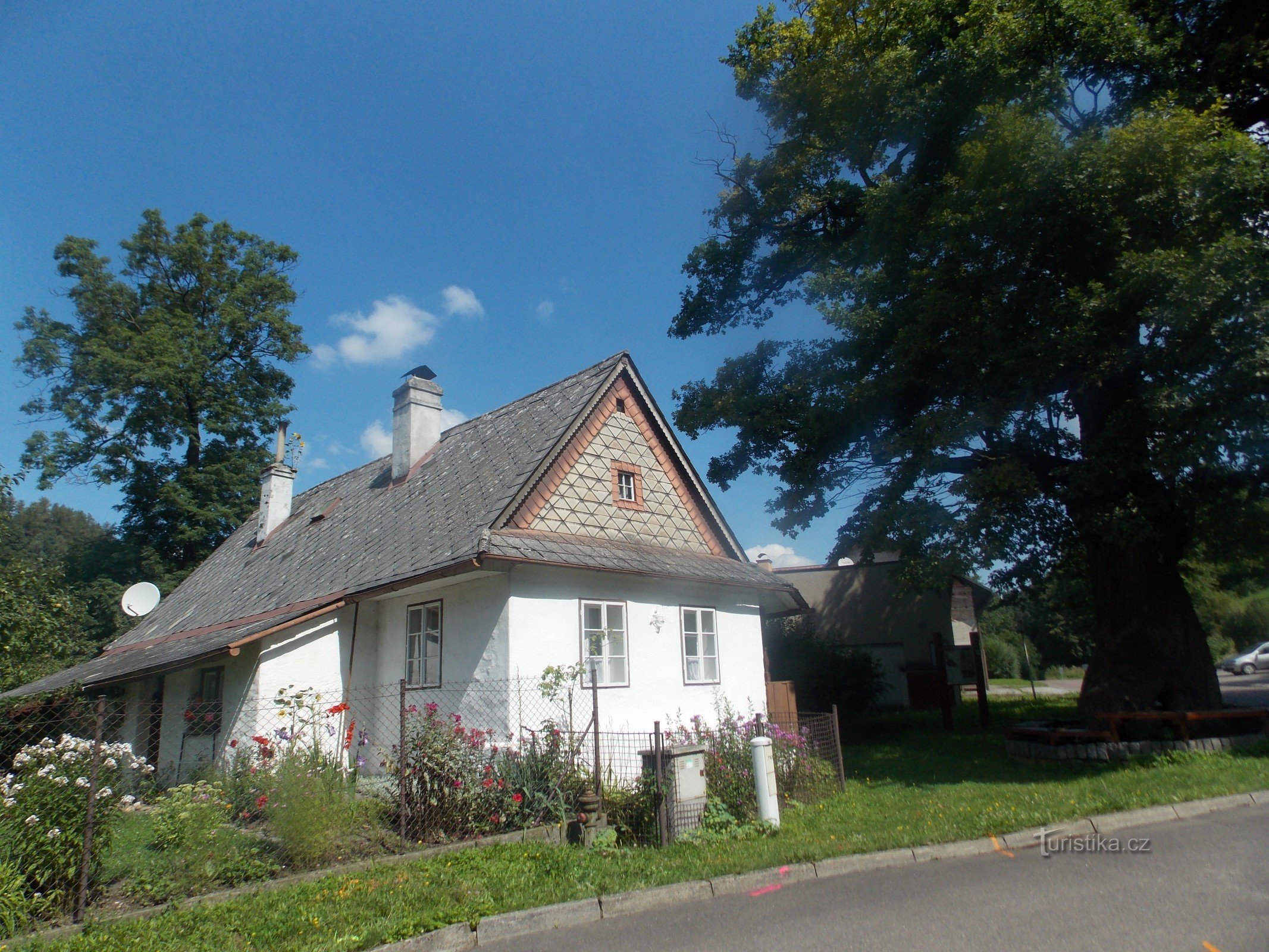 Un viejo roble memorable en Jablonné nad Orlicí