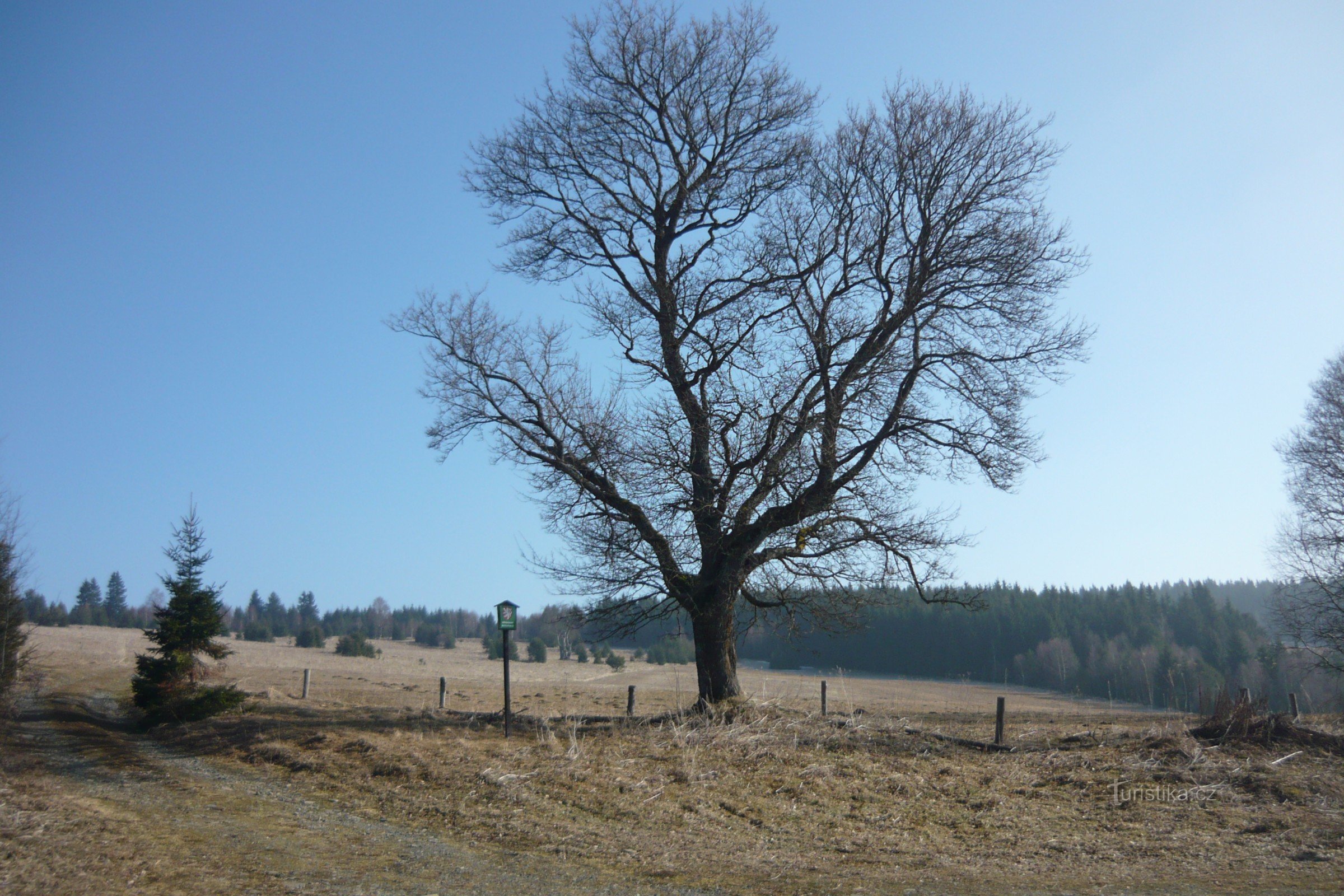 Ikimuistoinen myrsky