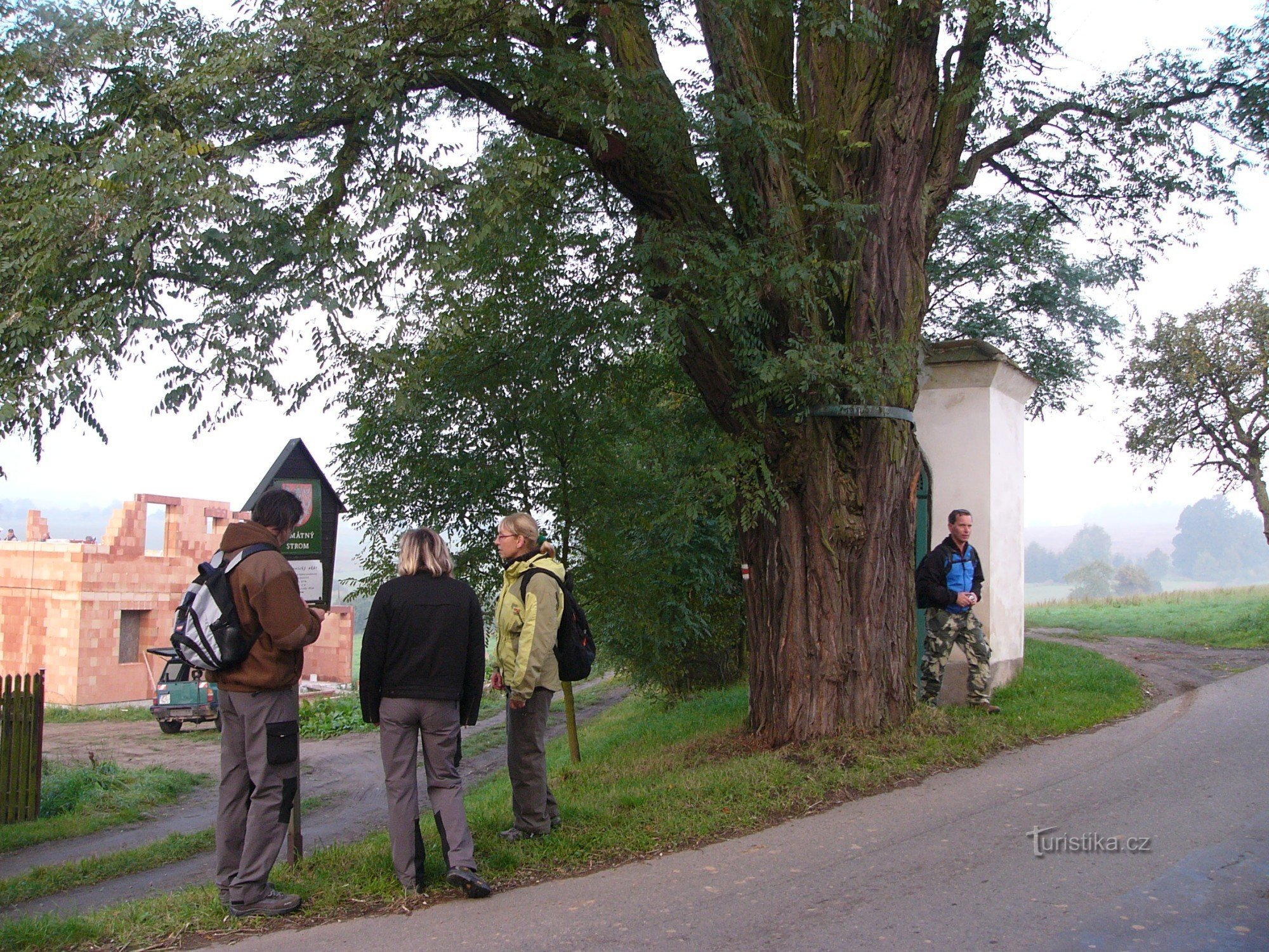 Gedenkwaardige boom