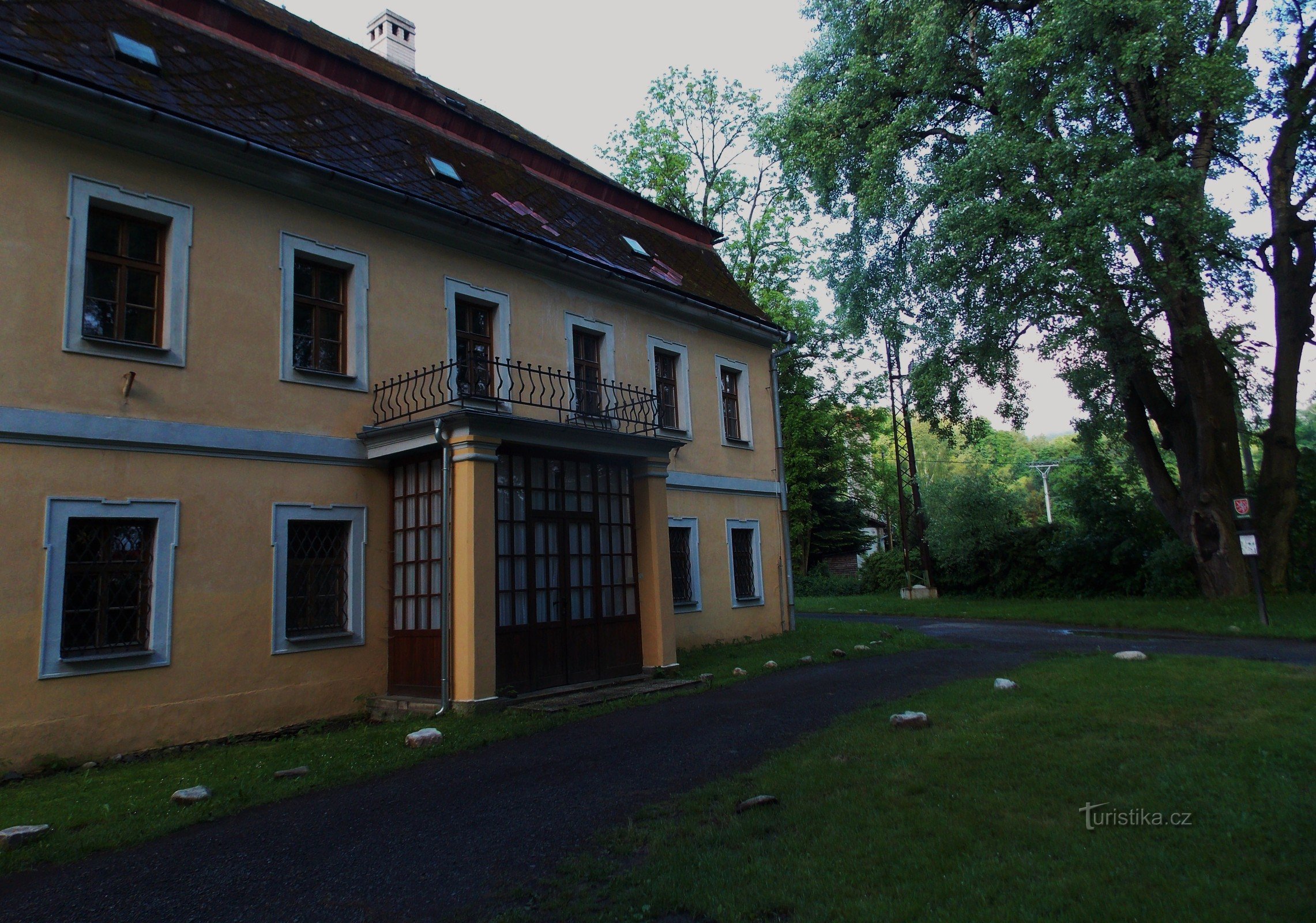 Gedenkbaum - Graupappel beim Schloss in Vrbno pod Pradědem