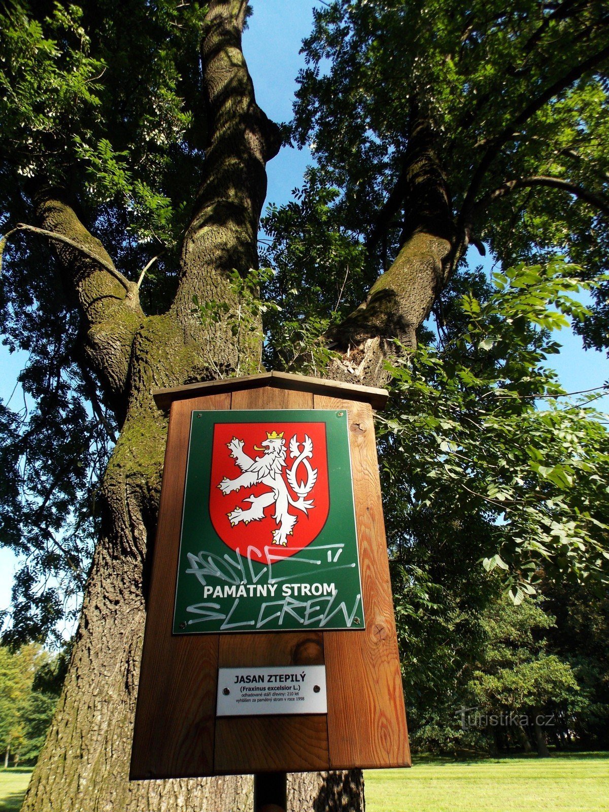 De gedenkboom in het kasteelpark van B. Němcové in de stad Karviná