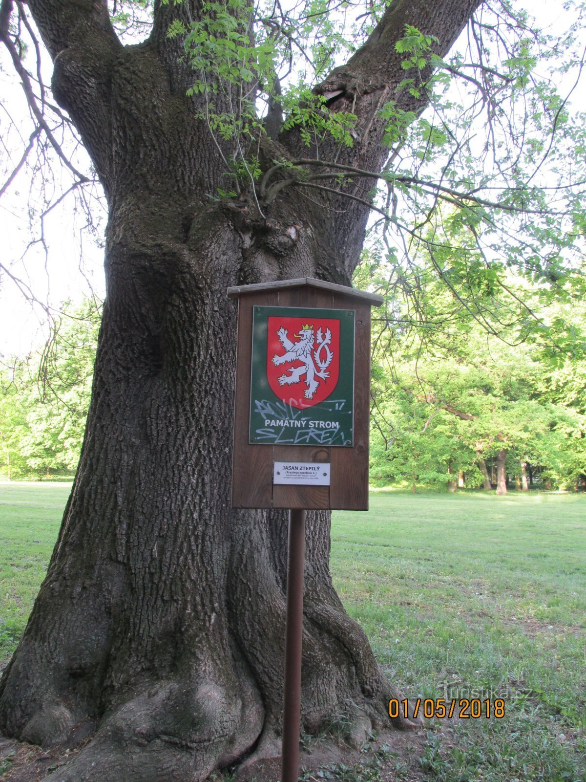 Spominsko drevo v parku gradu Frištát