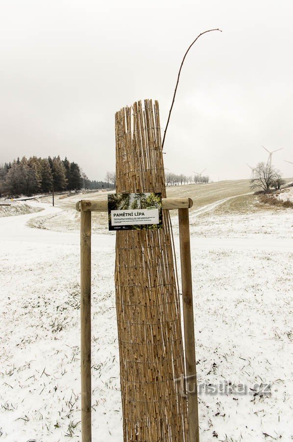 Muistomerkki lehmus