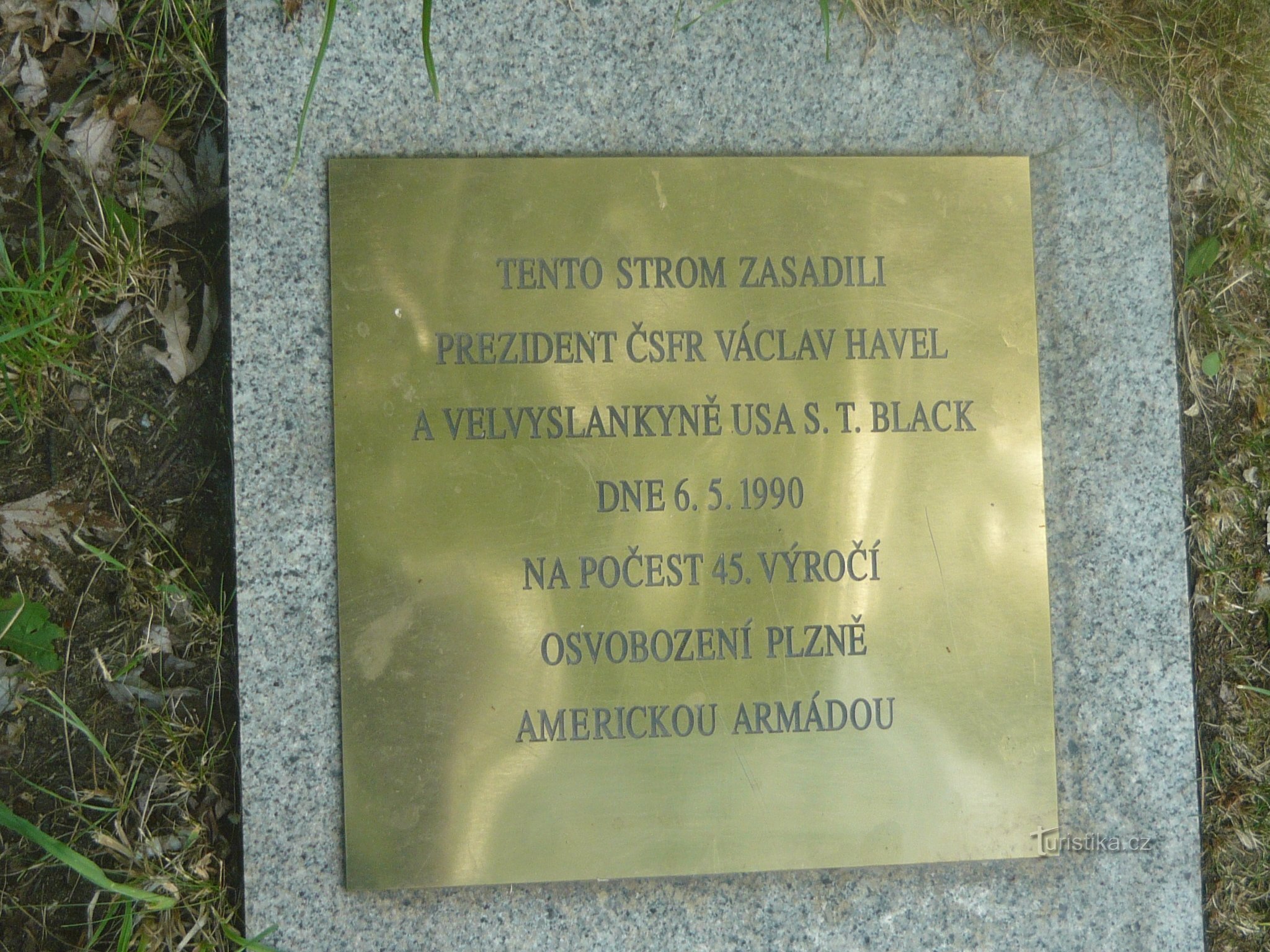 プルゼニのスヴォボディ通りにある記念樹