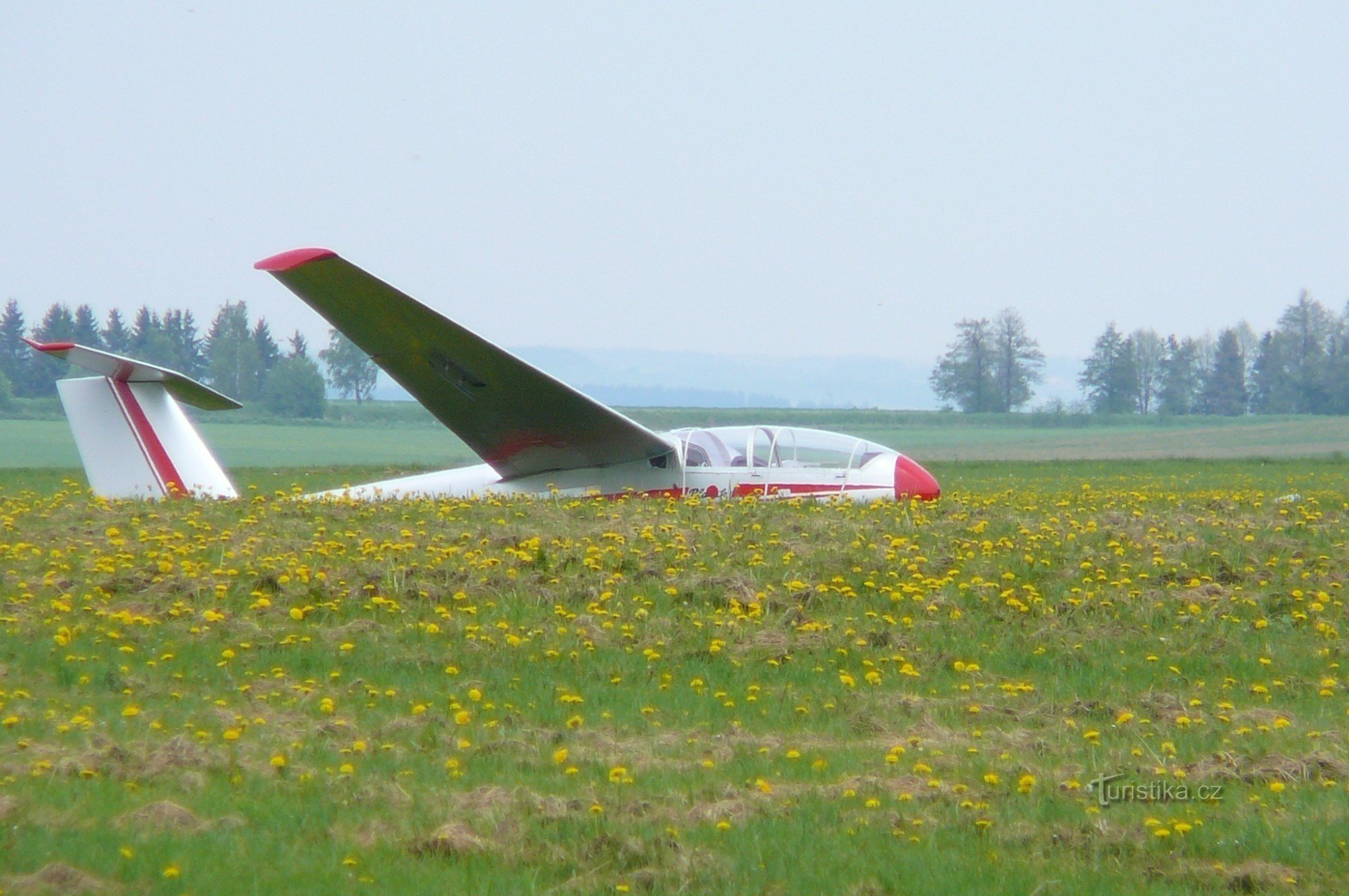 Pista dell'aeroporto del dente di leone